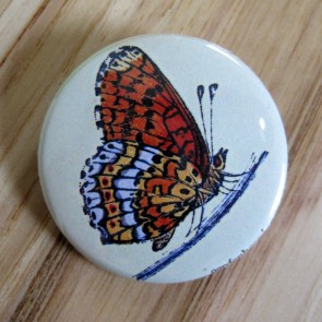 Orange and Blue Butterfly, Light Green Background Pinback Button