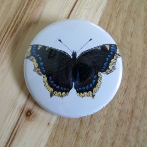 Black and Blue Butterfly Pinback Button