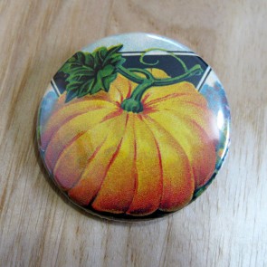 Heirloom Pumpkin Pinback Button