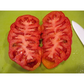 Tomato 'Tlacolula Red' AKA 'Tlacolula Ribbed' Seeds (Certified Organic)