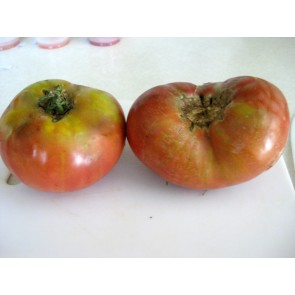 Tomato 'Sara Black' 