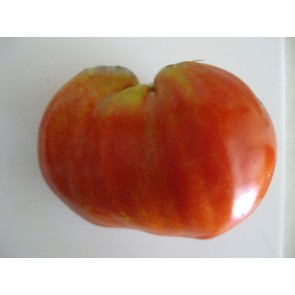 Tomato 'Reif Red Heart' Seeds (Certified Organic)