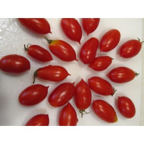 Tomato 'Hardin's Miniature' Seeds (Certified Organic)