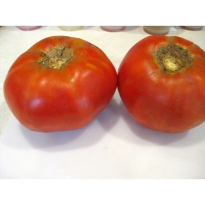 Tomato 'Garden Leader Monster' Seeds (Certified Organic)