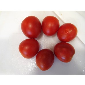Tomato 'Maskotka' Seeds (Certified Organic)