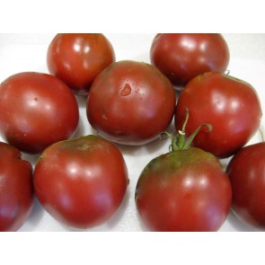 Tomato 'Shokoladnyi' 