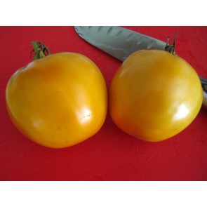 Tomato 'Golden Jubilee'