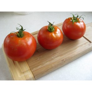 Tomato 'Grosse Lisse' 