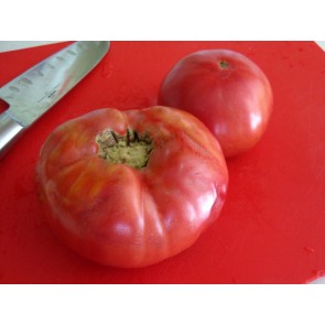 Tomato 'Kosovo' Seeds (Certified Organic)