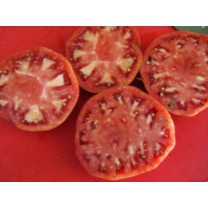 Tomato 'German Giant' Seeds (Certified Organic)