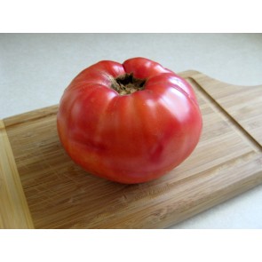 Tomato 'Aussie Pink' 