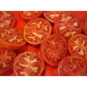 Tomato 'Druzba' Seeds (Certified Organic)