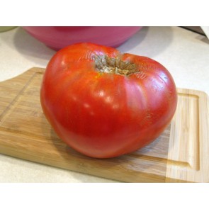 Tomato 'Delicious'