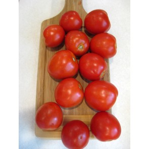 Tomato 'Bellestar' AKA 'Bellstar' Seeds (Certified Organic)