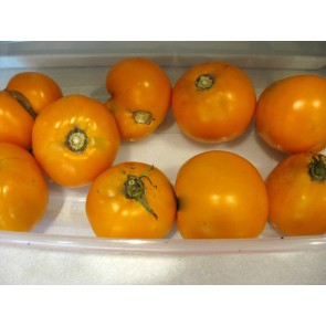 Tomato 'Cossack' Seeds (Certified Organic)