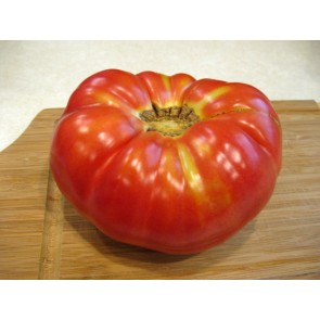 Tomato 'Purple Hillbilly'