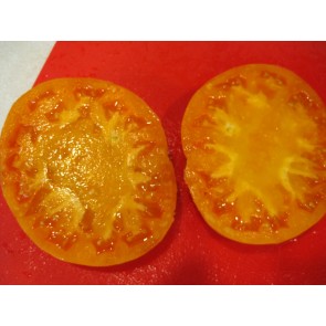 Tomato 'Kentucky Beefsteak' Seeds (Certified Organic)