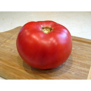 Tomato 'Pink Lady'