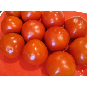 Tomato 'Thessaloniki' Seeds (Certified Organic)