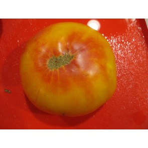 Tomato 'Hillbilly' Seeds (Certified Organic)