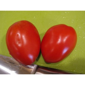 Tomato 'Rio Grande' 