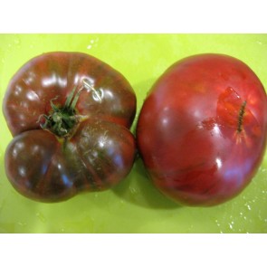 Tomato 'Black Brandywine' Plant (4