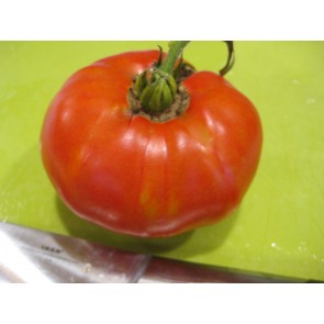 Tomato 'Marianna's Conflict' Seeds (Certified Organic)