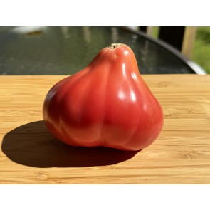 Tomato 'Pear Pink' Seeds (Certified Organic)