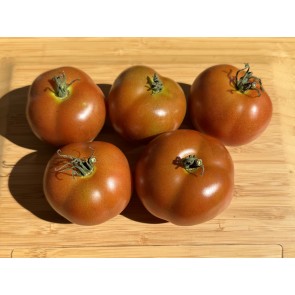 Dwarf Tomato 'Bundaberg Rumball' Seeds (Certified Organic)