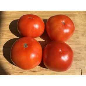 Tomato 'Livingston's Honor Bright' Seeds (Certified Organic)