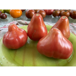 Tomato 'Pear Pink' Seeds (Certified Organic)