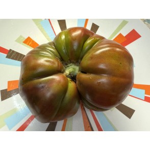 Tomato 'Pierce's Pride' Seeds (Certified Organic)