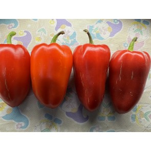 Sweet Pepper 'Ukrainian Early' Seeds (Certified Organic) 