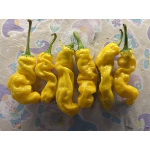 Hot Pepper ‘Yellow Peter’ Seeds (Certified Organic)