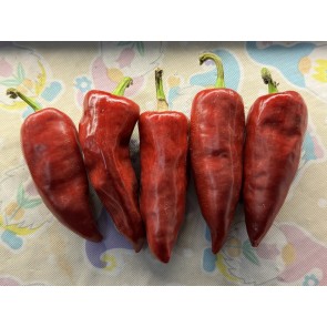 Hot Pepper ‘Chilhuacle Rojo' Seeds (Certified Organic)