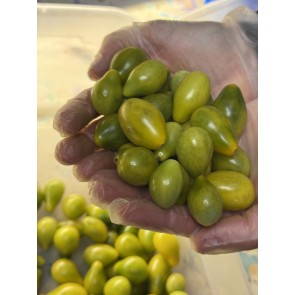 Tomato 'Green Pear' Seeds (Certified Organic)