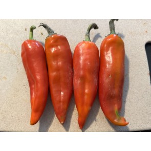 Hot Pepper 'Rattlesnake' Seeds (Certified Organic)