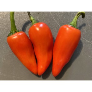 Hot Pepper ‘Hawaiian Sweet Hot' AKA 'Waialua' Seeds (Certified Organic)