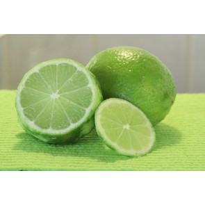 Lime Basil 