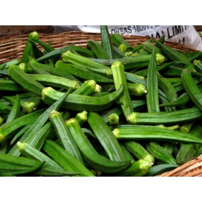 Okra 'Clemson Spineless'