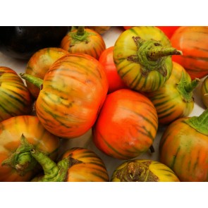 Eggplant ‘Turkish Orange’ Seeds (Certified Organic)