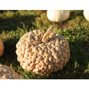 Pumpkin 'Peanut' Seeds (Certified Organic)