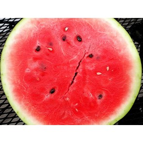 Watermelon 'Sugar Baby'