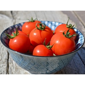 Tomato 'Matina' 