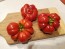 Tomato 'Costoluto Genovese'