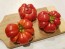 Tomato 'Costoluto Genovese'