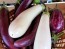 Eggplant ‘Casper’ Seeds (Certified Organic)