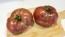 Tomato 'Indian Stripe' 