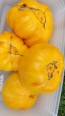 Tomato 'Orange Jazz' 