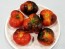 Tomato 'Indigo Apple'
